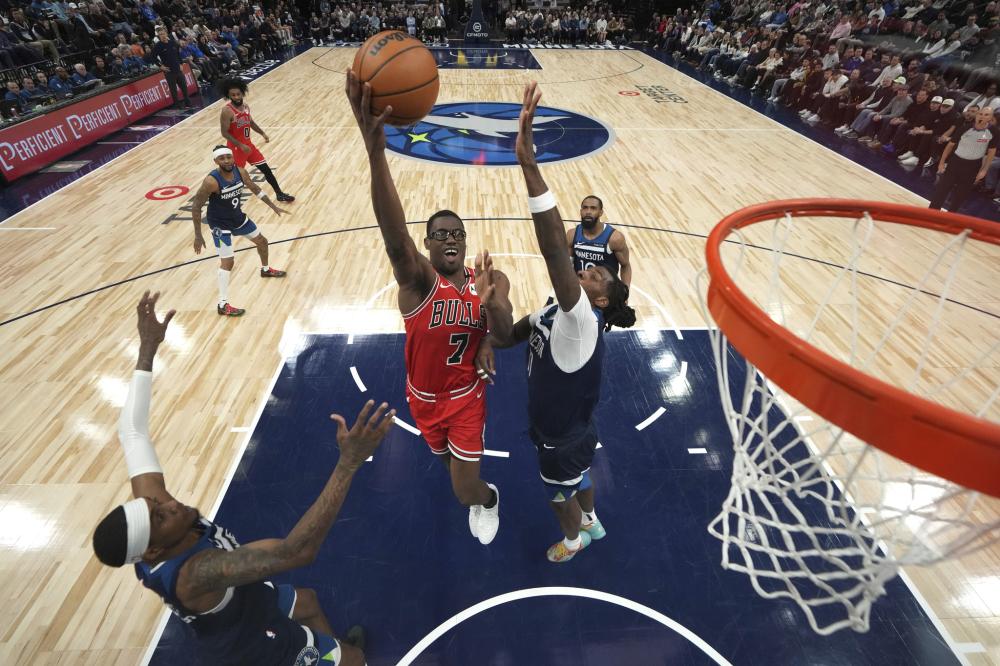 灰熊42个 灰熊42个